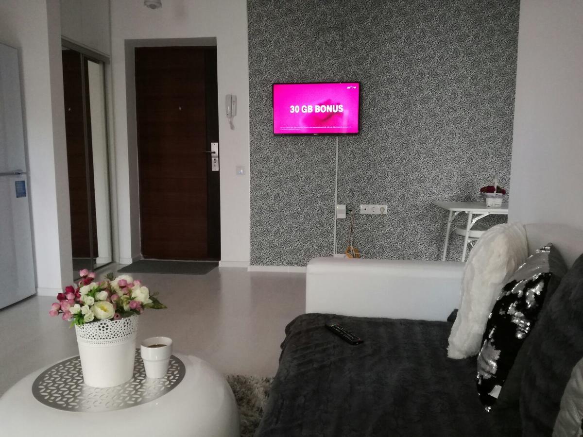 White Luxury Apartment Sibiu Dış mekan fotoğraf